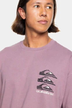 Quiksilver Mens Vertical Logos T-Shirt -North Trail Outfitters b12bac1003 3434 e