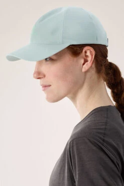 Arc'teryx Mens Bird Word Cap -North Trail Outfitters b13jfb0499 5353 e