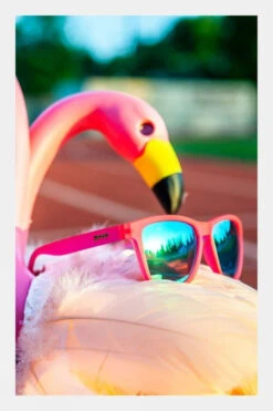 Goodr Flamingos On A Booze Cruise Sunglasses 9 Goodr Flamingos On A Booze Cruise Sunglasses -North Trail Outfitters m42100303b40y